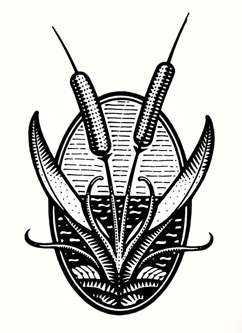 illustration image 48